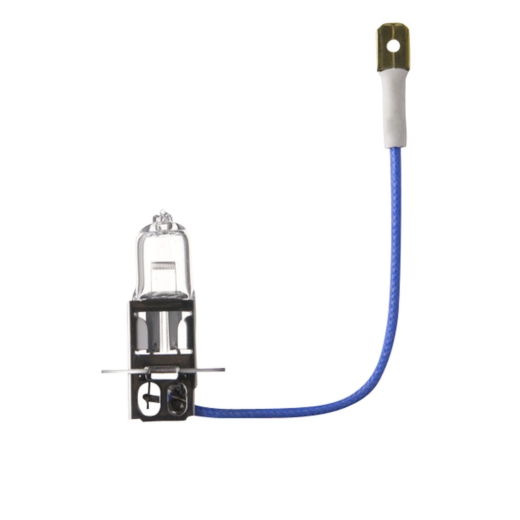 Bild von H3-GLUEHLAMPE 12V/55W - Sockel PK22s (VPE=1 Stück)
